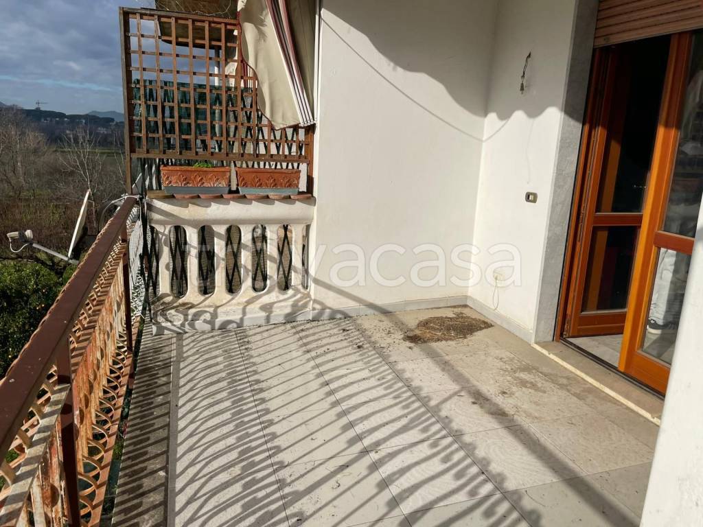 immagine annuncio 4 di 8