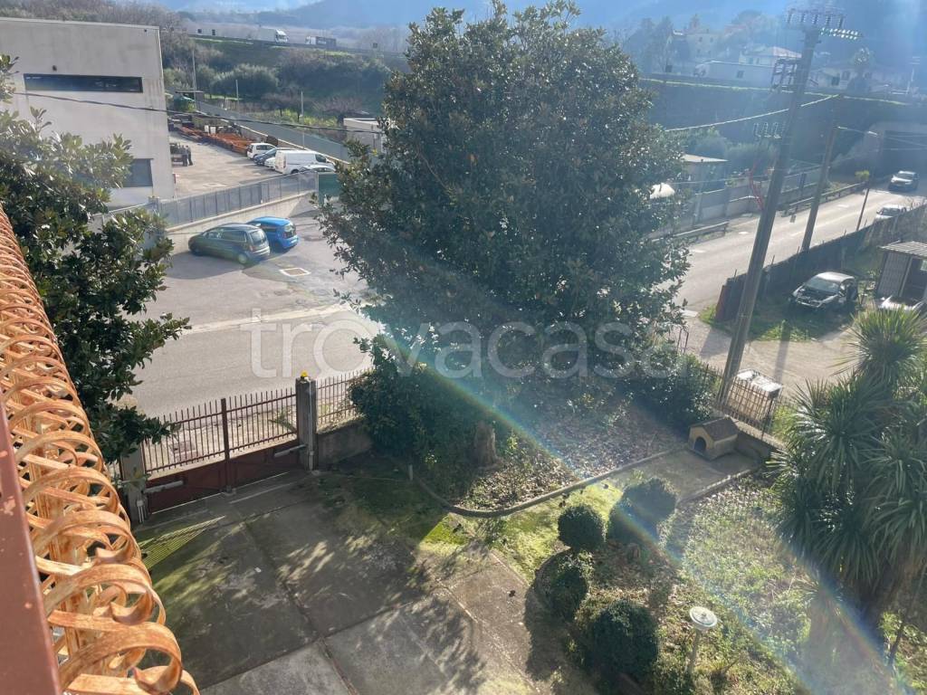 immagine annuncio 6 di 8