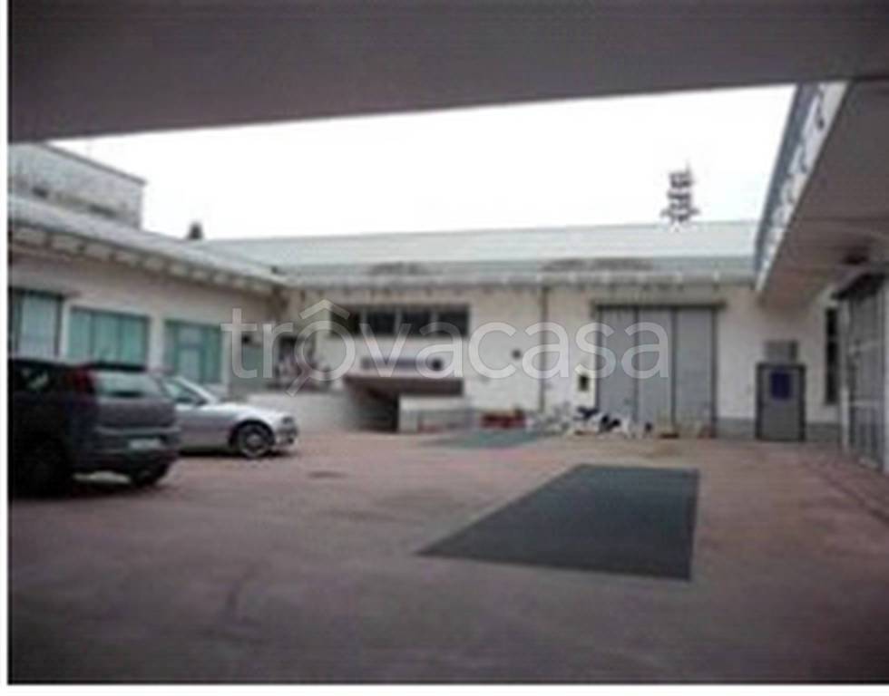 immagine annuncio 5 di 11