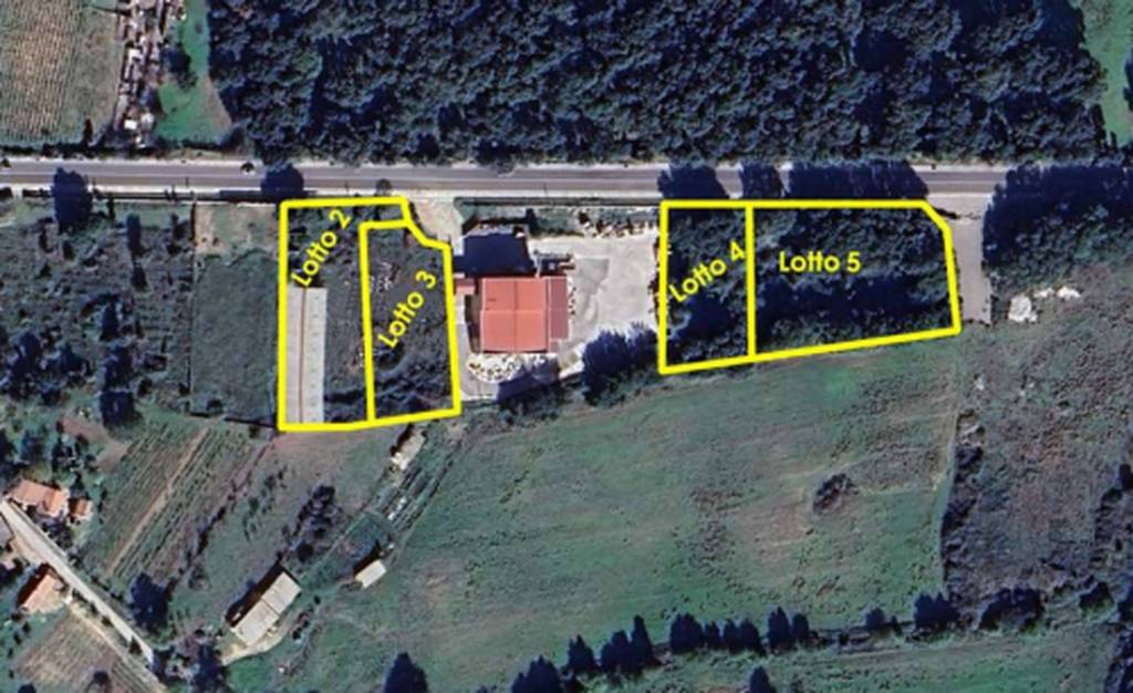 immagine annuncio 2 di 13