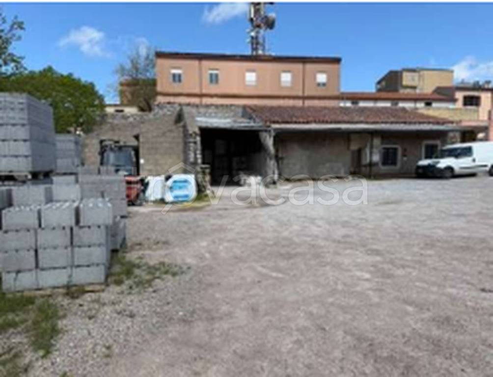 immagine annuncio 10 di 13