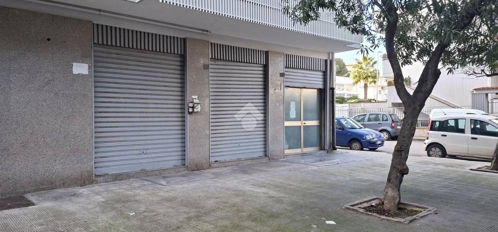 immagine annuncio 4 di 11