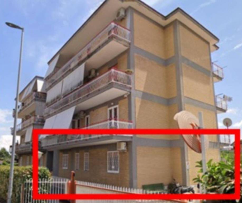 immagine annuncio 12 di 13