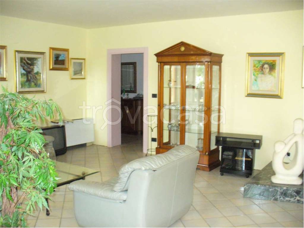 immagine annuncio 3 di 13