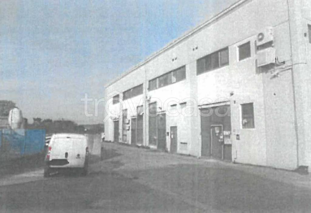 immagine annuncio 4 di 11