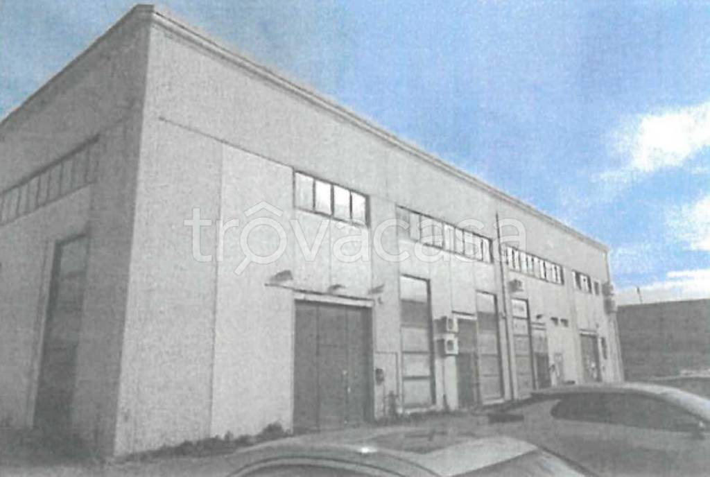 immagine annuncio 5 di 11