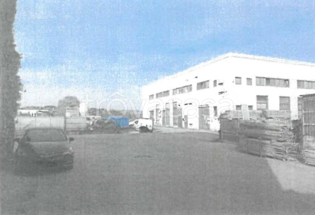 immagine annuncio 6 di 11