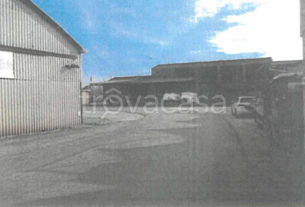 immagine annuncio 7 di 11