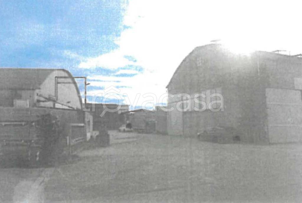 immagine annuncio 9 di 11