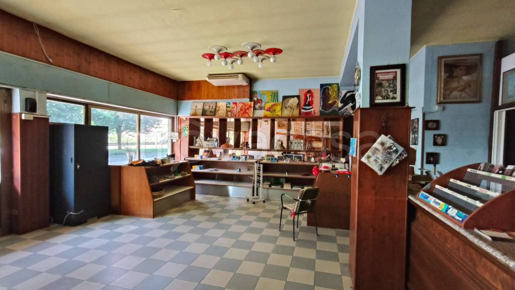 immagine annuncio 9 di 10