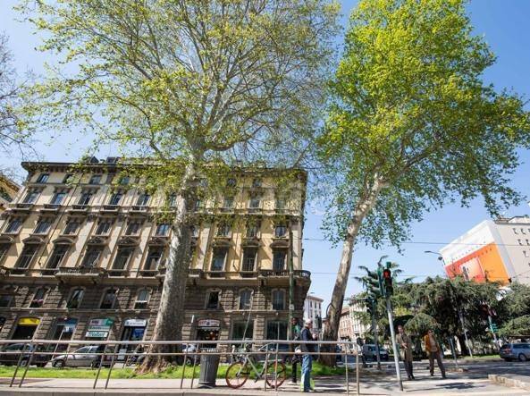 immagine annuncio 8 di 11