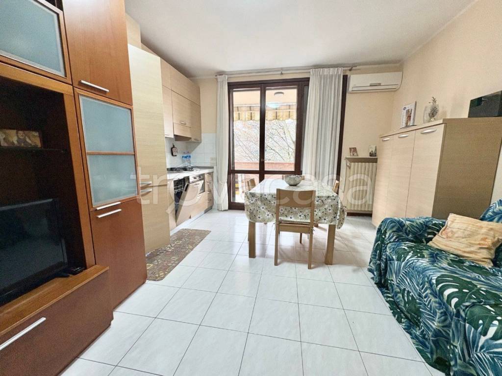 immagine annuncio 1 di 14