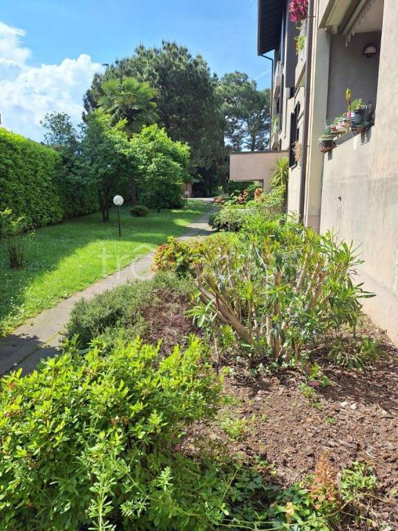 immagine annuncio 13 di 14