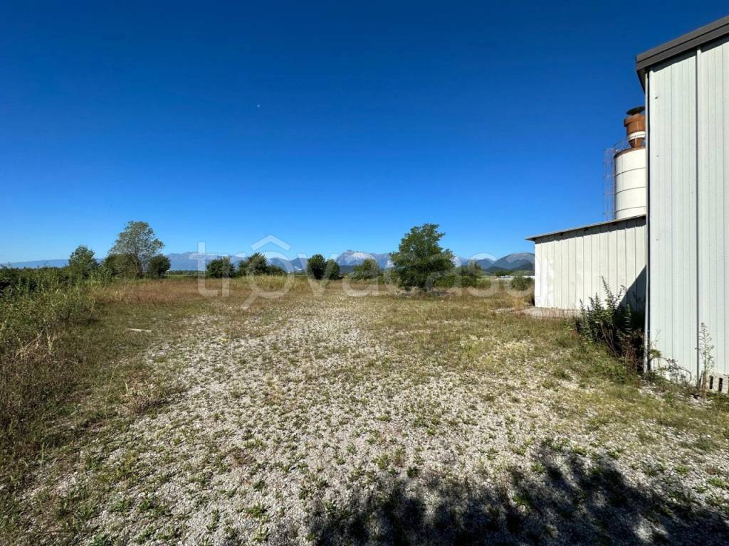 immagine annuncio 1 di 7