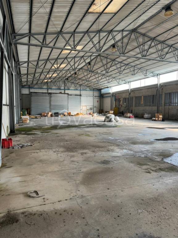 immagine annuncio 2 di 7