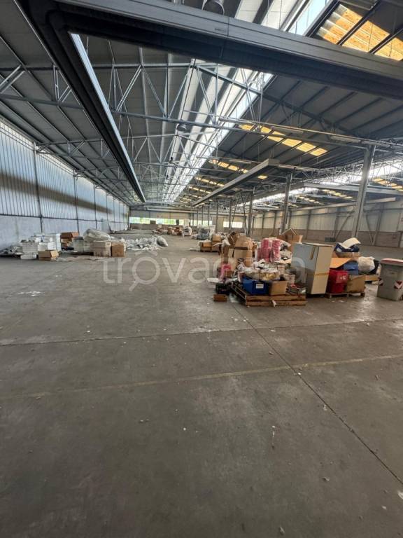 immagine annuncio 4 di 7