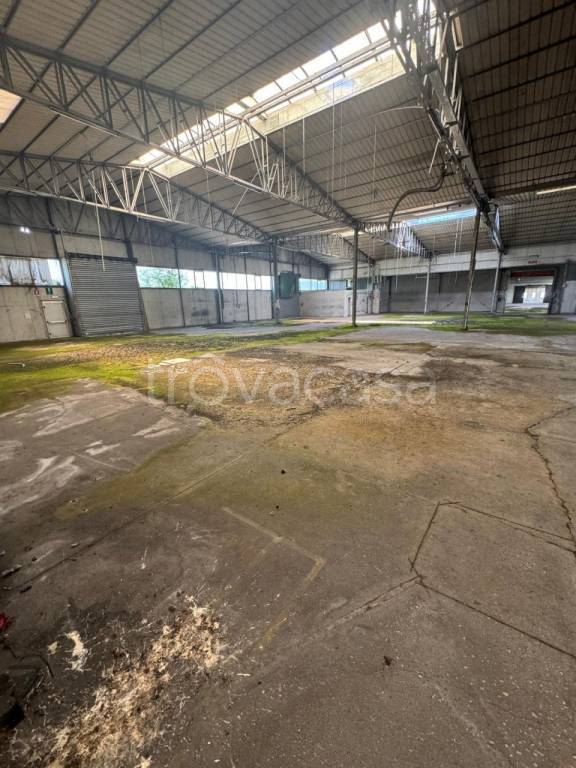 immagine annuncio 5 di 7