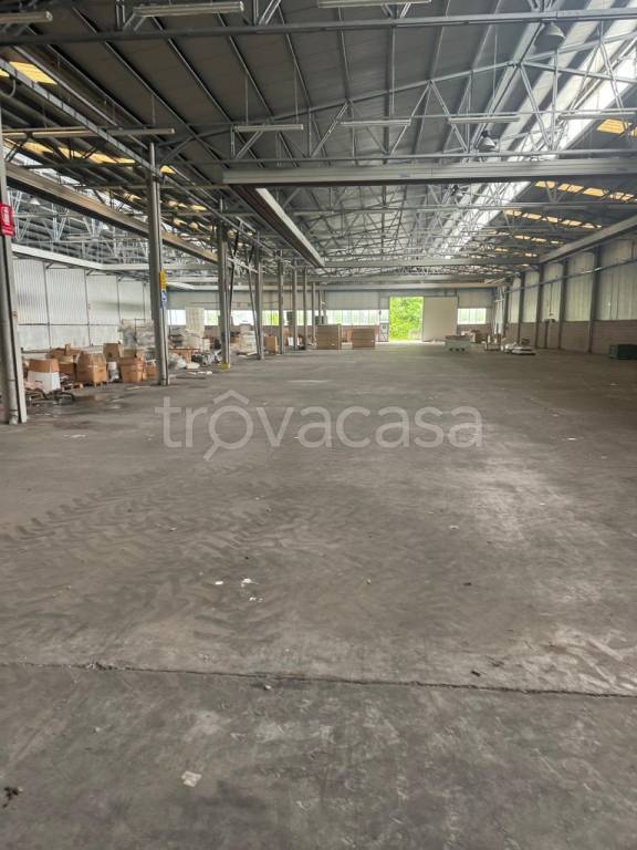 immagine annuncio 6 di 7