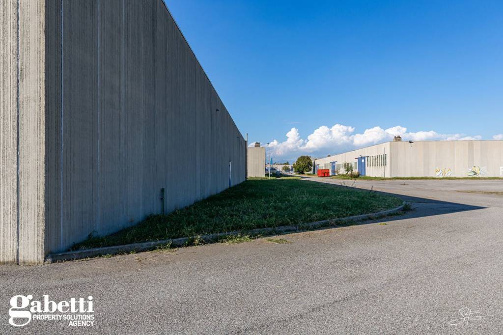 immagine annuncio 7 di 15