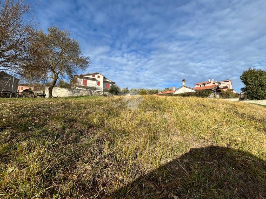 immagine annuncio 3 di 13