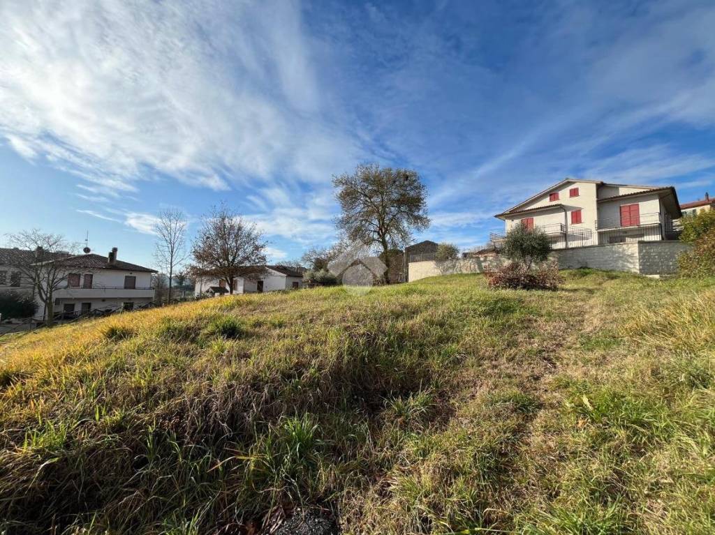 immagine annuncio 8 di 13