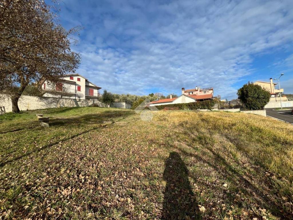 immagine annuncio 9 di 13