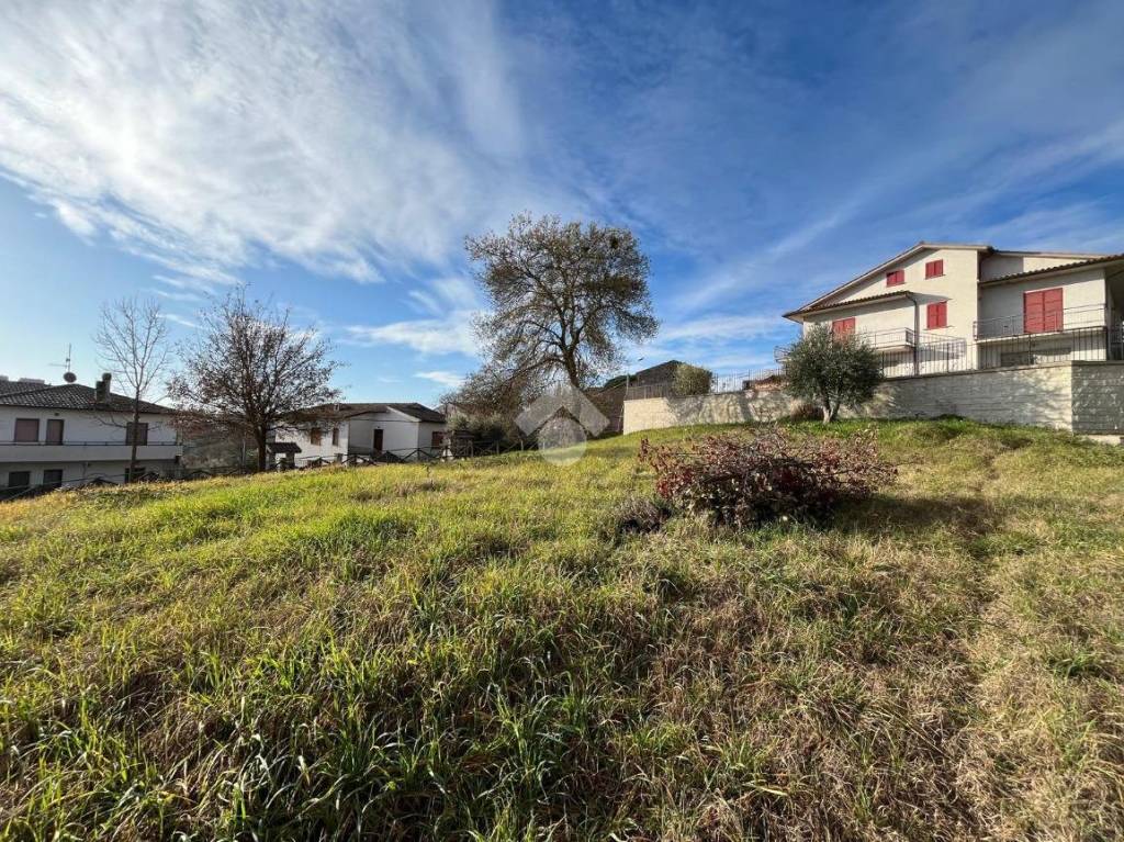 immagine annuncio 10 di 13