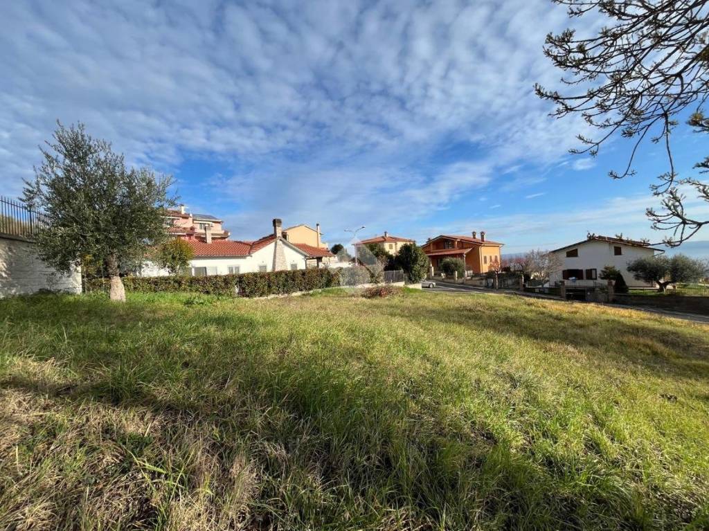 immagine annuncio 11 di 13