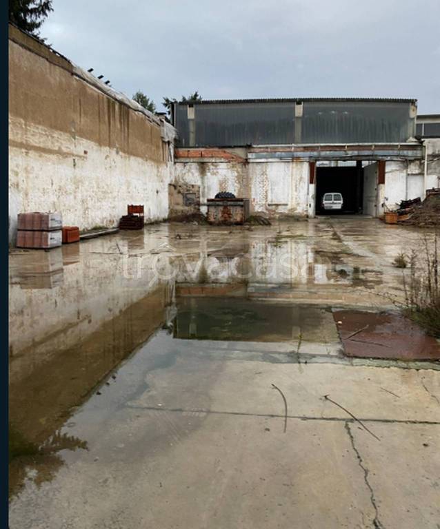 immagine annuncio 3 di 12