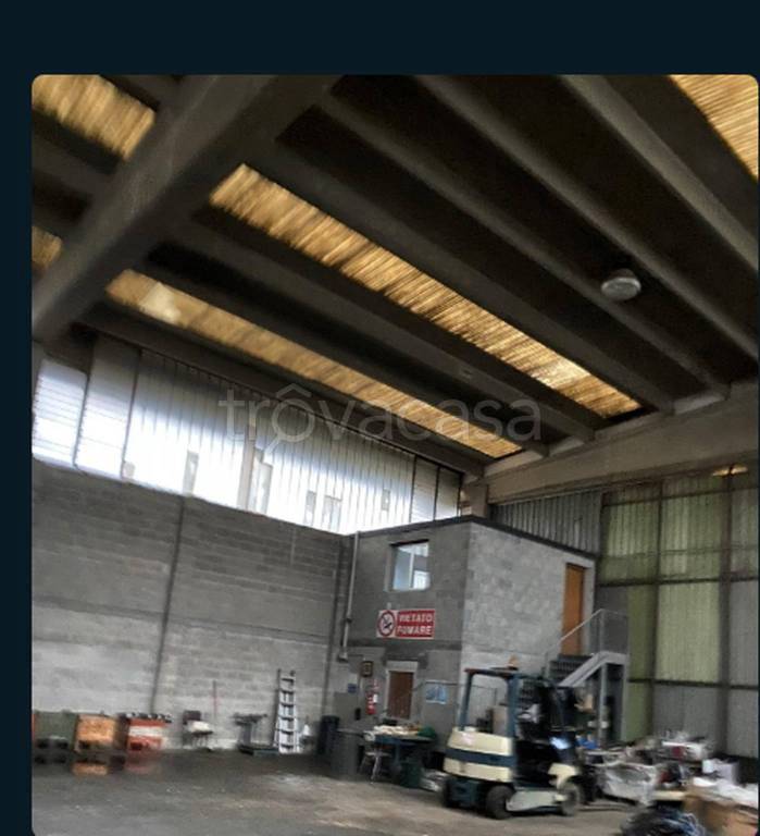 immagine annuncio 5 di 12