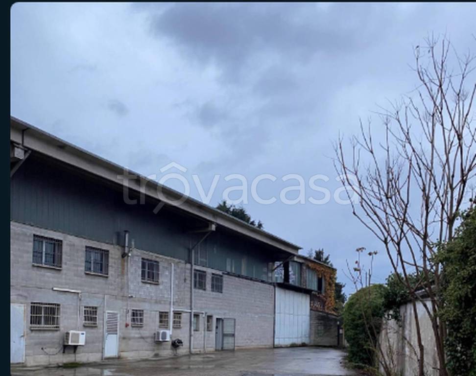 immagine annuncio 6 di 12