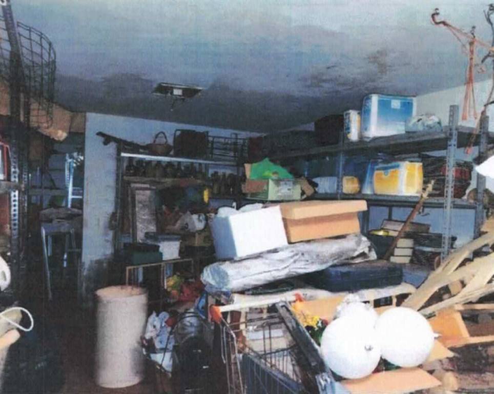 immagine annuncio 9 di 12