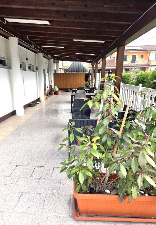 immagine annuncio 4 di 7