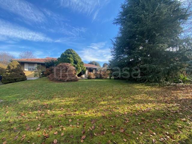 immagine annuncio 1 di 8