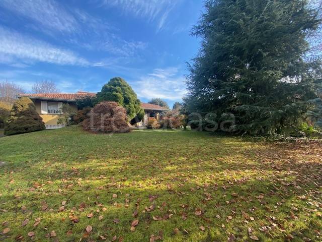 immagine annuncio 2 di 8