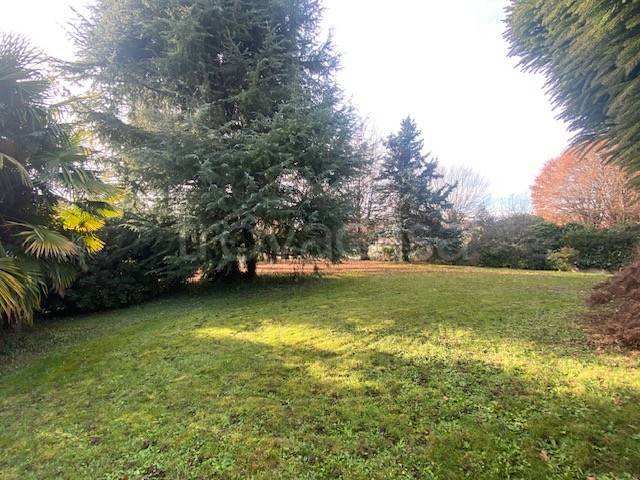 immagine annuncio 4 di 8