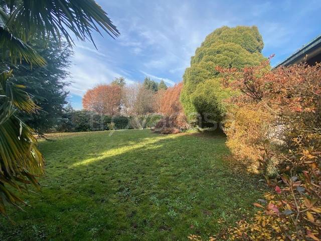 immagine annuncio 5 di 8