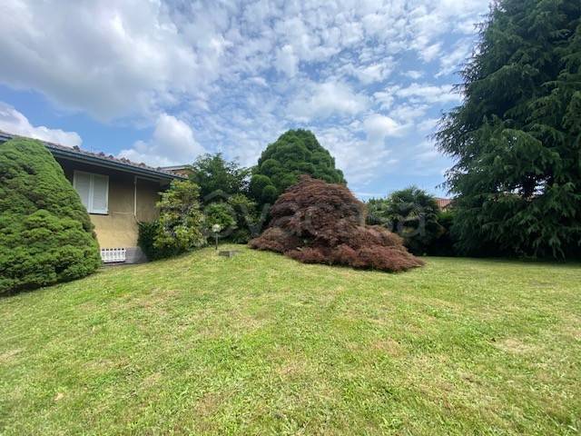 immagine annuncio 6 di 8