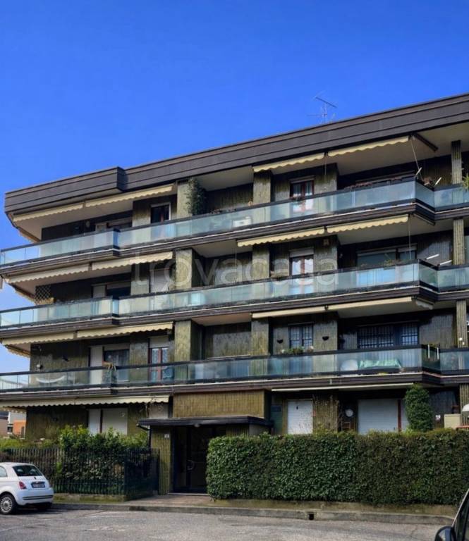 immagine annuncio 3 di 15