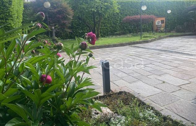 immagine annuncio 5 di 7