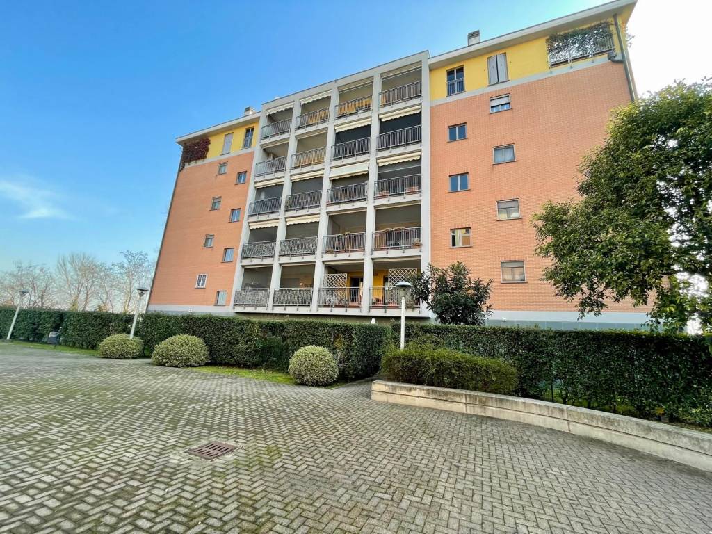 immagine annuncio 1 di 15