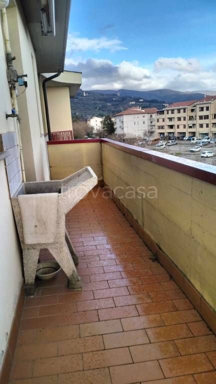 immagine annuncio 11 di 14