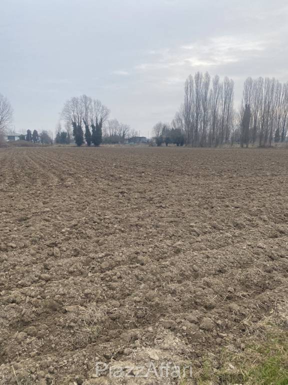 immagine annuncio 4 di 6