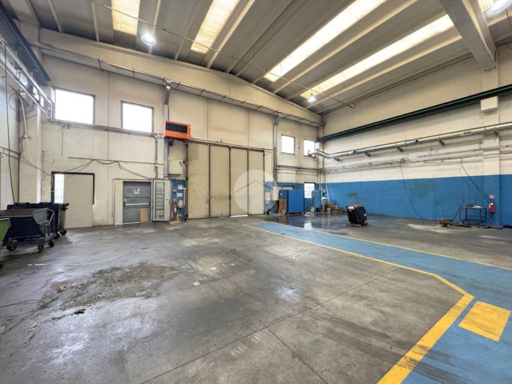 immagine annuncio 2 di 6