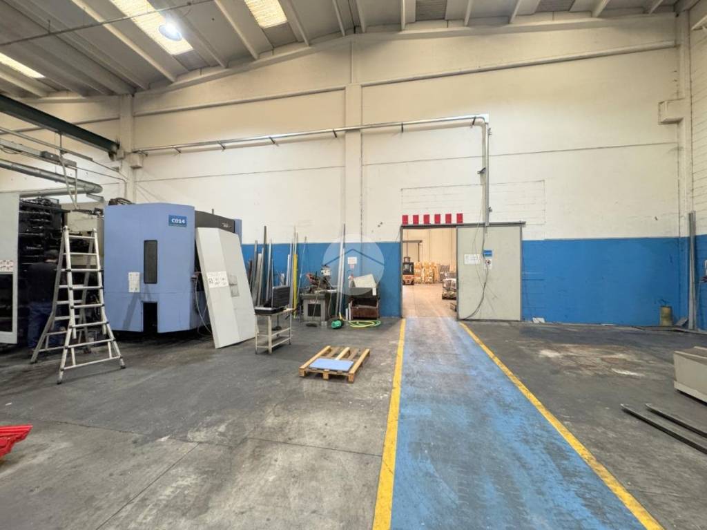 immagine annuncio 3 di 6