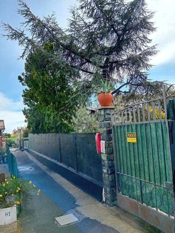 immagine annuncio 5 di 14