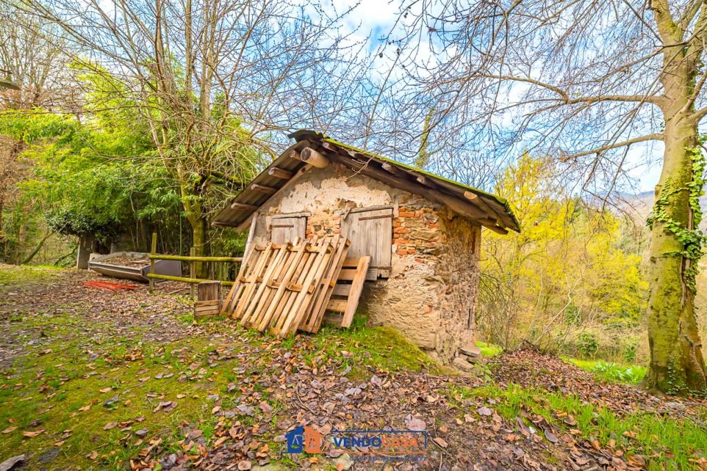 immagine annuncio 6 di 14