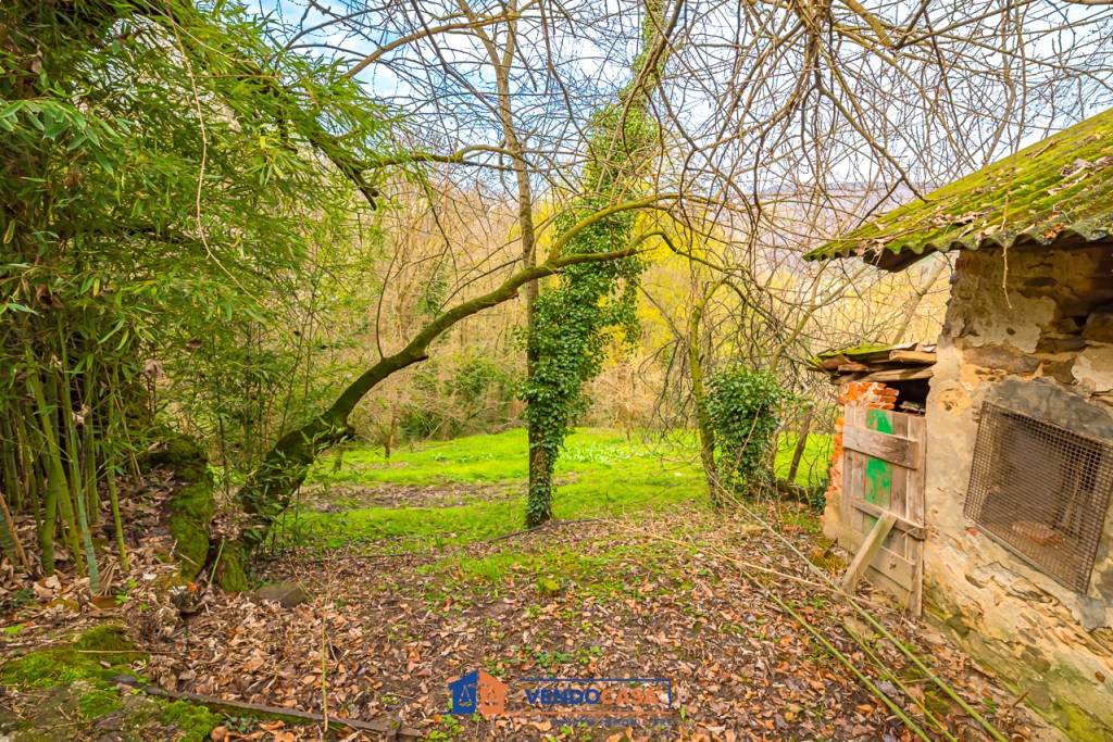 immagine annuncio 7 di 14