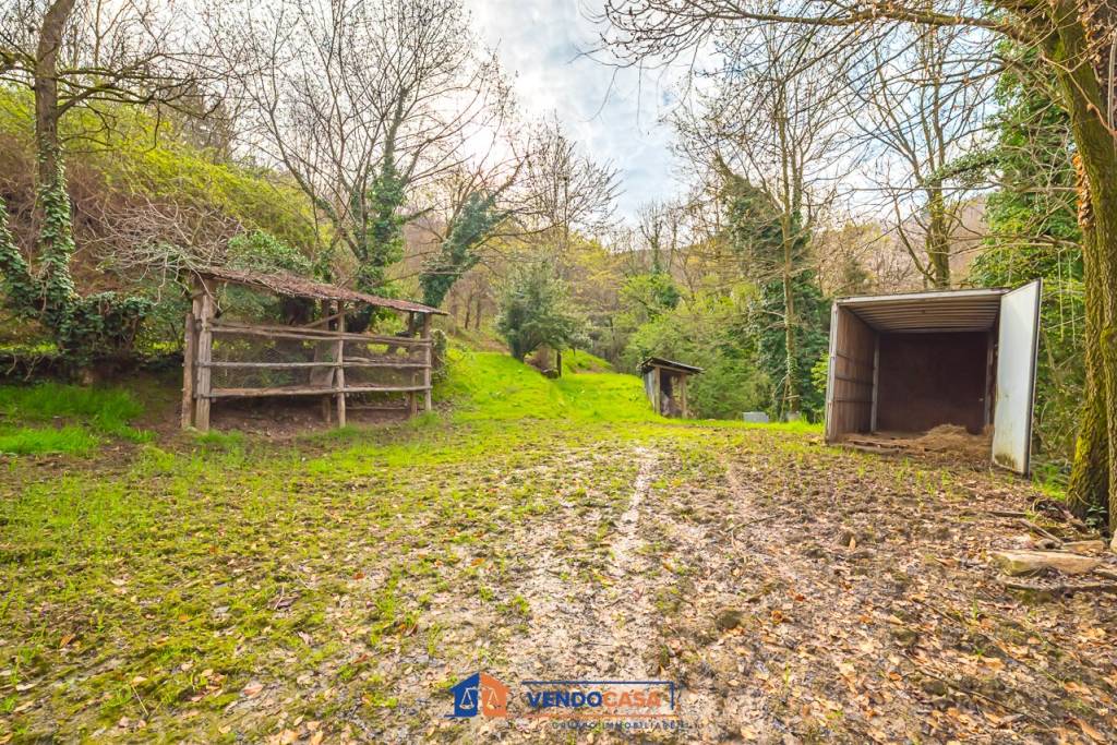 immagine annuncio 10 di 14