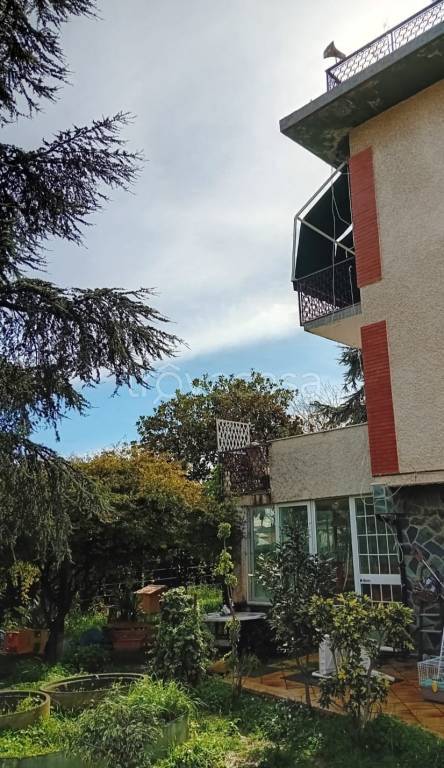 immagine annuncio 7 di 14